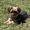 Photo of Bear S.