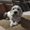 Photo of Kyong Grace C.