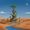 Photo of Desert O.