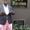 Photo of Olajuwon N.