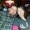 Photo of Joce N Tony T.