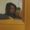 Photo of Thalia M.
