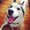 Photo of Writer G.