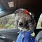 Eric S. profile picture