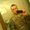 Photo of Joshua B.