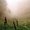 Photo of Jai C.
