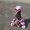 Photo of Chera M.