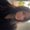Photo of Talita G.