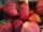 Photo of Qype User (TeamSc…)