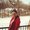 Photo of Sadaf P.