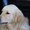 Photo of Qype User (Bente1…)