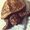 Photo of Turtle M.