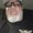 Photo of Troy F.