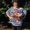 Photo of Joanne S.