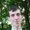 Photo of Jonah L.