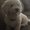 Photo of Ange T.