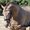 Photo of Xena V.