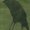 Photo of q. gauti a.