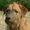 Photo of Qype User (lejeu…)