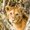 Photo of Katty P.