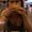 Photo of Allie Y.