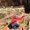 Photo of Sanket S.