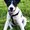 Photo of Qype User (nicole…)