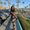 Photo of Tosin A.