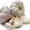 Photo of Garlic L.