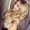Photo of Caylee H.