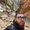 Photo of Samer Y.