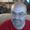 Photo of Ricky L.