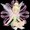 Photo of Qype User (margar…)