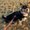 Photo of Chloe Y.
