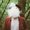 Photo of Qype User (ralfca…)