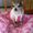 Photo of Chiquita J.