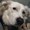 Photo of Terry P.