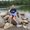 Photo of Stephaney N.