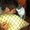 Photo of Toph J.