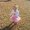 Photo of JamesandTammy S.