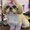 Photo of Misty J.