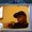 Photo of Terry B.