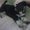 Photo of Norman T.