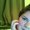 Photo of Rachel N.