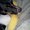 Photo of Mariam S.