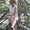 Photo of Maureen A.