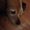 Photo of Trixie D.