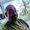 Photo of Jason P.