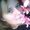 Photo of Trish K.