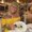 Photo of Debbie T.